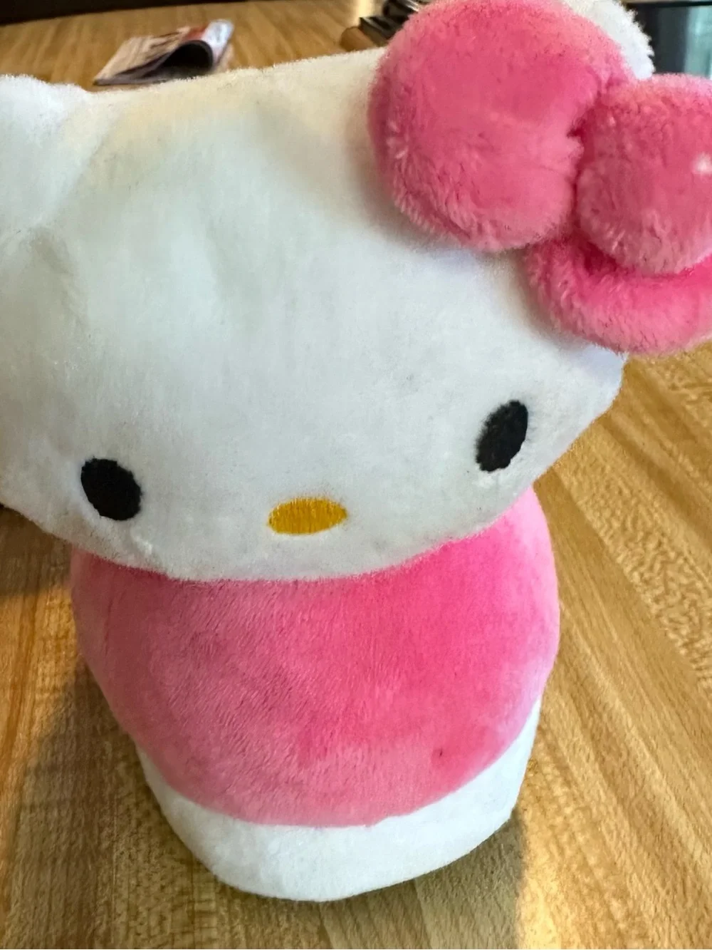 Hello Kitty indoor slippers